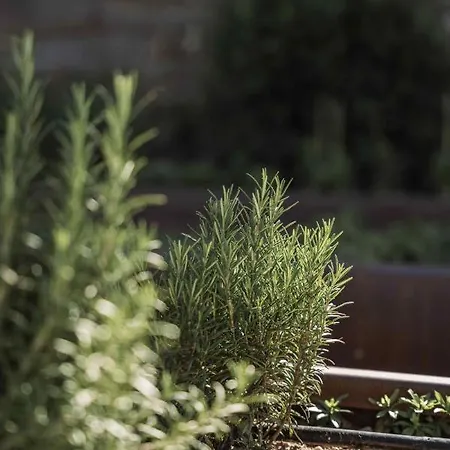 Kohlern 1130 M 博尔扎诺