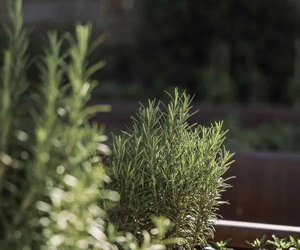 Kohlern 1130 M Bolzano